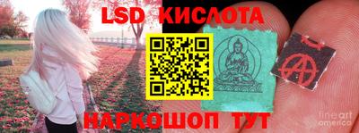 шишки Заволжье