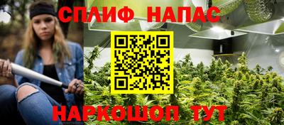 шишки Заволжье