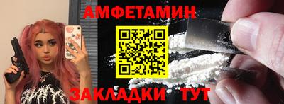 шишки Заволжье