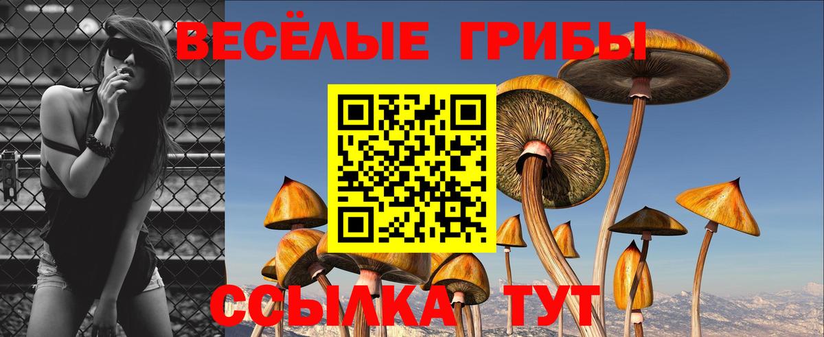 Мирный  Галлюциногенные грибы Psilocybe  Вход с VPN  Галлюциногенные грибы прущие грибы 